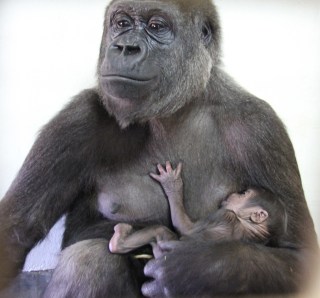 Image from SheKnows.com